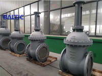 DIN Gate Valves with Big Sizes (PN25 Series)