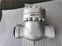 High-end Swing Check Valves for Power Plant of PN250