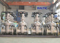 ASTM A351 CF8C Gate Valves