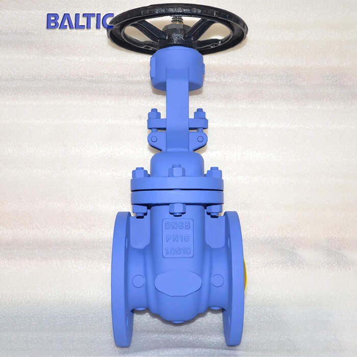 DIN Gate Valves (PN16 series) Delivered to Europe - Baltic