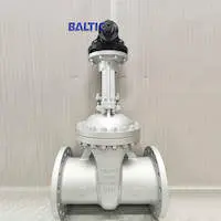 Big Size DIN Gate Valves (PN40 Series)