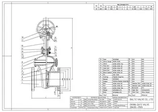 drawings for DIN gate valve