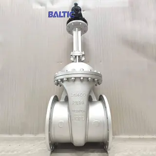 DIN Gate Valves