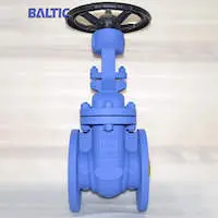 DIN Gate Valves (PN16 series) Delivered to Europe