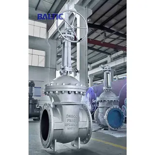 DIN Gate Valves
