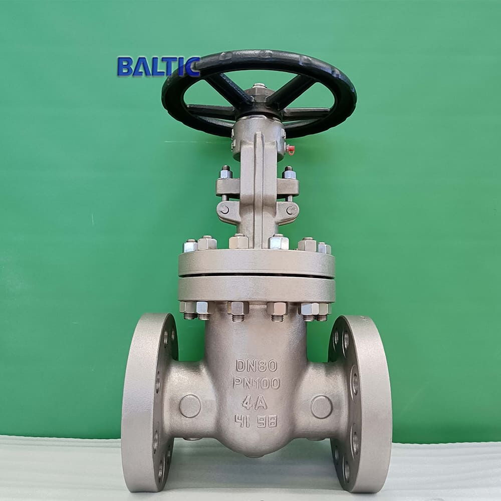 Duplex Steel EN 1984 Gate Valve for European Client