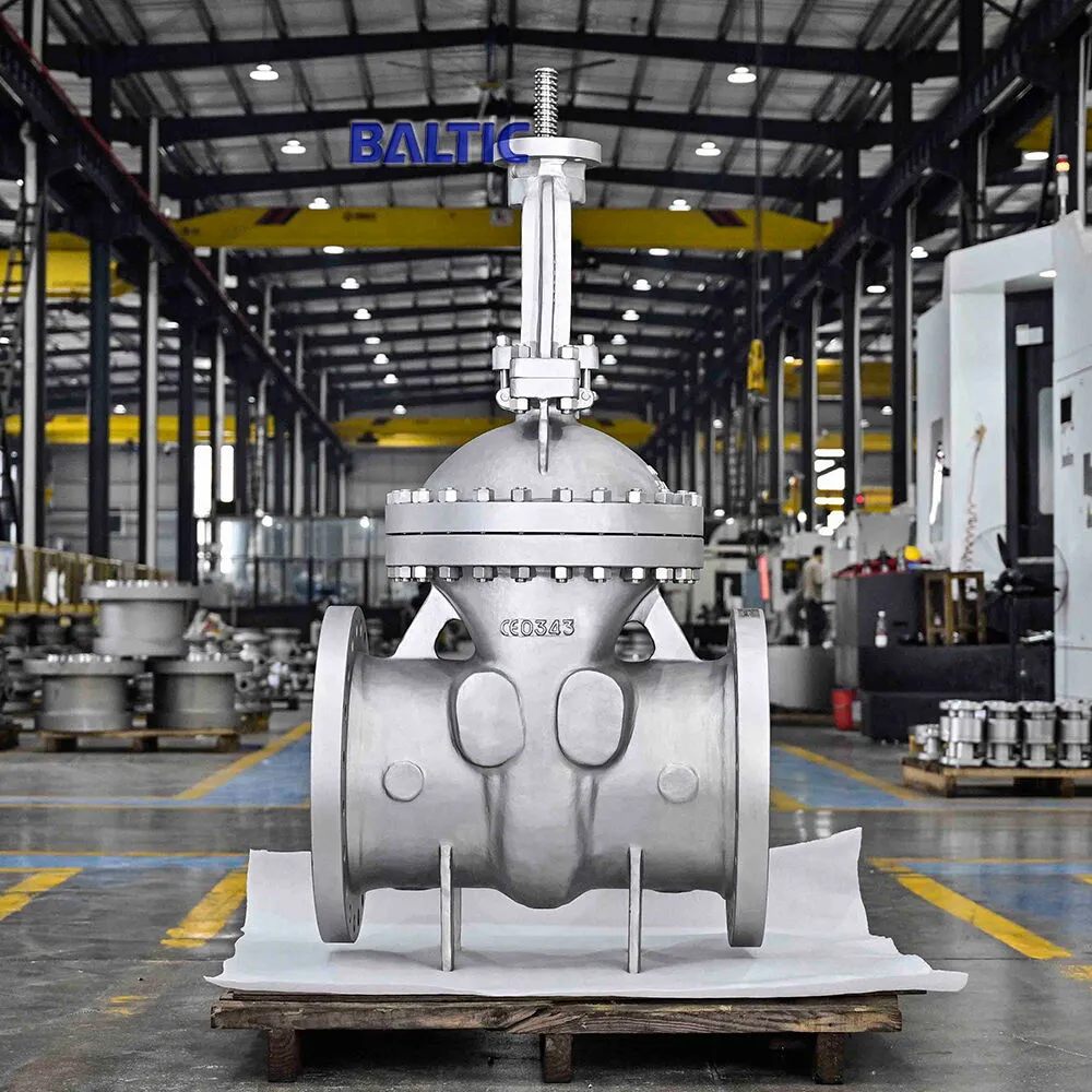 gate valve