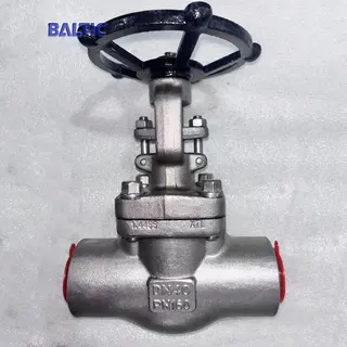 High-Performance Gate Valves for Demanding Applications