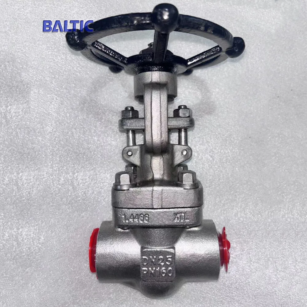 DN25 gate valve