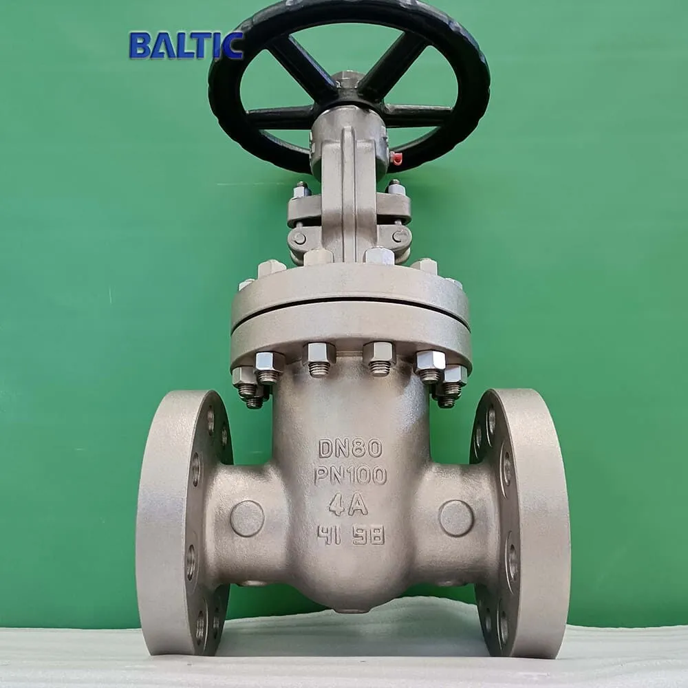 gate valve