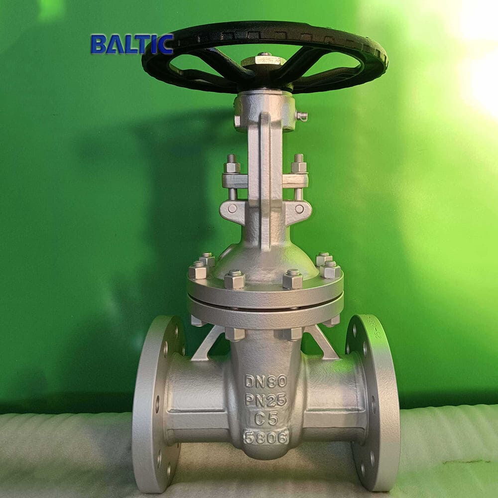 Gate Valve ASTM A217 C5 PN25 DN80