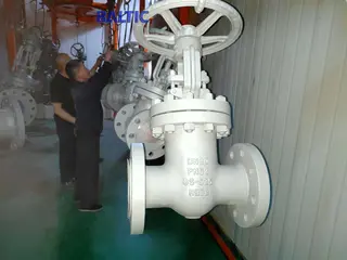 Gate Valve PN63, DN80