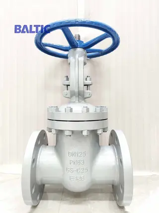 Gate Valve PN63, DN125