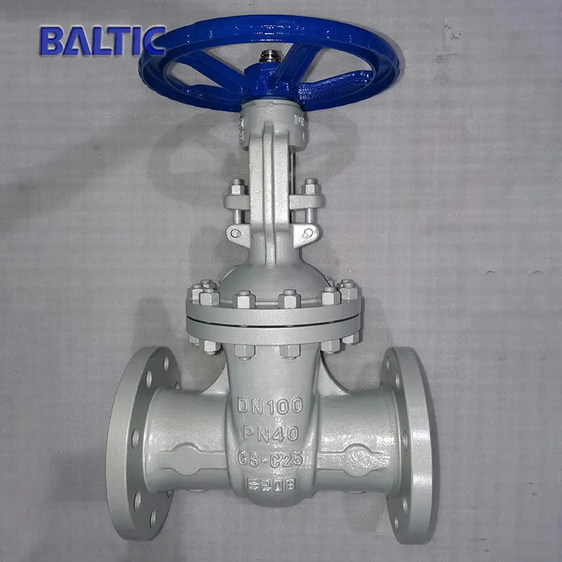 DN100-PN40 Gate Valve