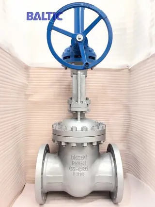 Gate Valve PN63, DN250