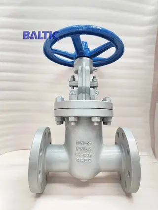 Gate Valve PN63, DN65