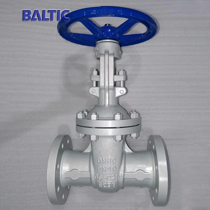 DN80-PN40 Gate Valve