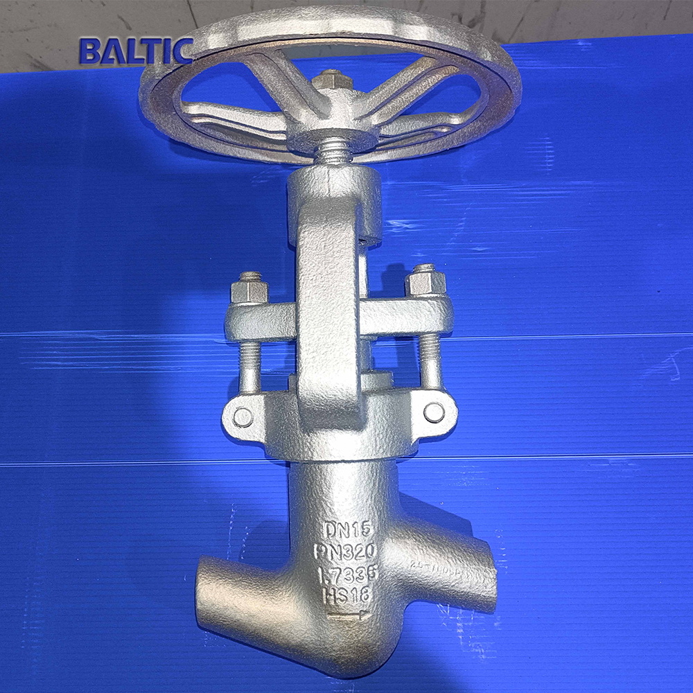 Globe Valve, PN320, DN15 Globe Valve, PN320, DN15