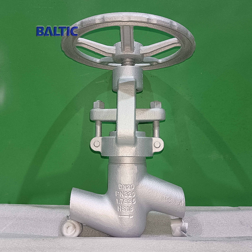 Globe Valve, PN320, DN20 Globe Valve, PN320, DN20
