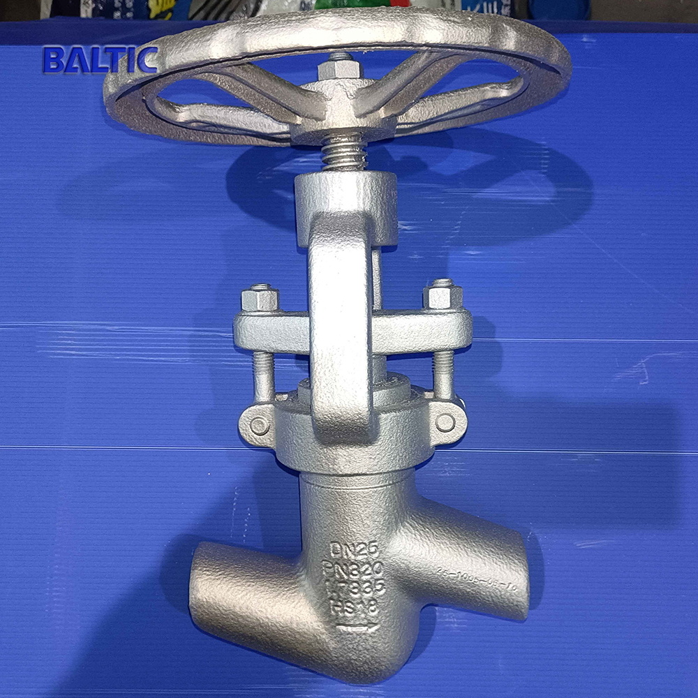 Globe Valve, PN320, DN25 Globe Valve, PN320, DN25