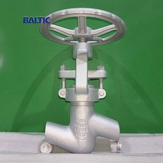 High Pressure Globe Valve PN320, Forged Material