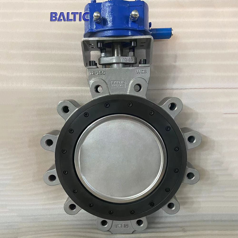 butterfly valve