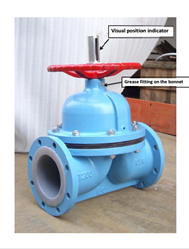 diaphragm valves