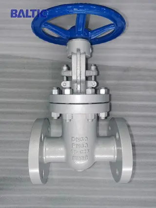 For Stock: GATE VALVE PN63