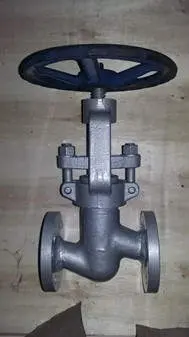 Shipment of DIN Forge Material Globe Valve Last Week