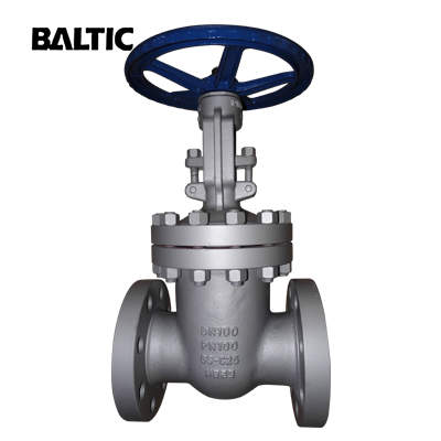 Are You Looking for Wedge Gate Valves?