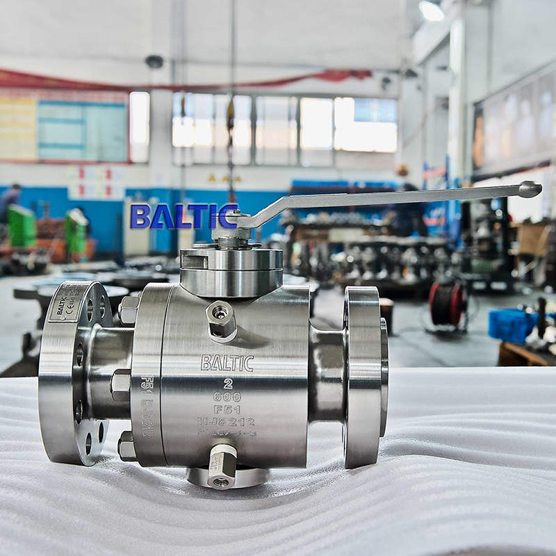 Duplex Stainless Steel Ball Valve, ASTM A182 F51, 2 Inch, RF