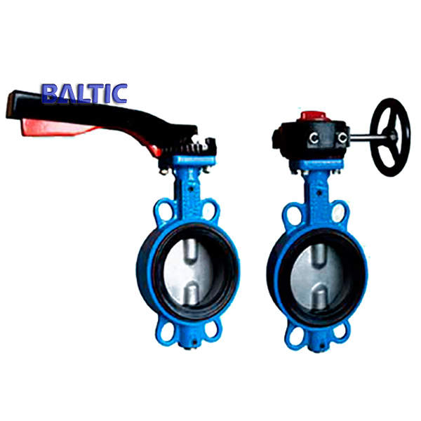Cast Iron Butterfly Valve with Lever, 6 Inch, Class 125, Wafer