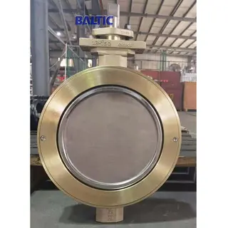 ASTM B148 C95800 Butterfly Valve, 12 Inch, 150 LB, API 609