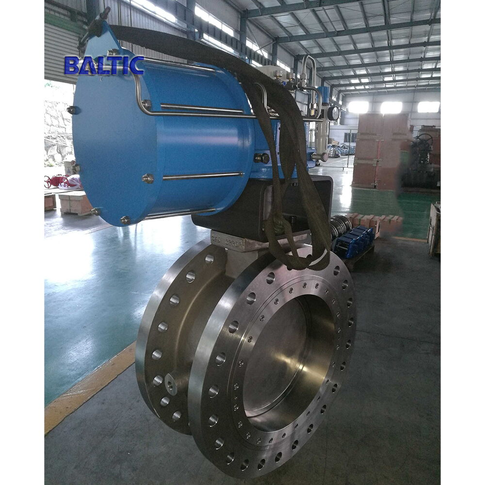 Double Flanged Butterfly Valve, A351 CF8M, 24 Inches, 300 LB