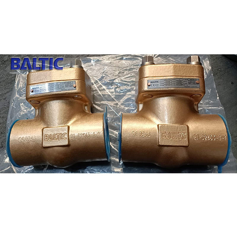 ASTM B148 C95800 Swing Check Valve, 1 Inch, 800 LB, F-NPT
