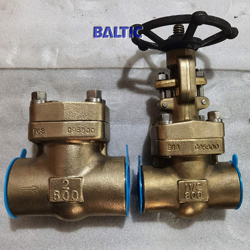 ASTM B148 C95800 Swing Check Valve, 2 Inch, 800 LB, F-NPT