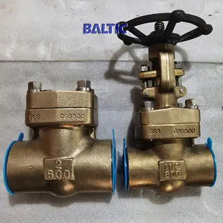 ASTM B148 C95800 Swing Check Valve, 2 Inch, 800 LB, F-NPT
