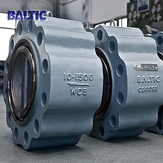 Dual Plate Wafer Check Valve, 10 Inch, Class 1500 LB, Lug Type