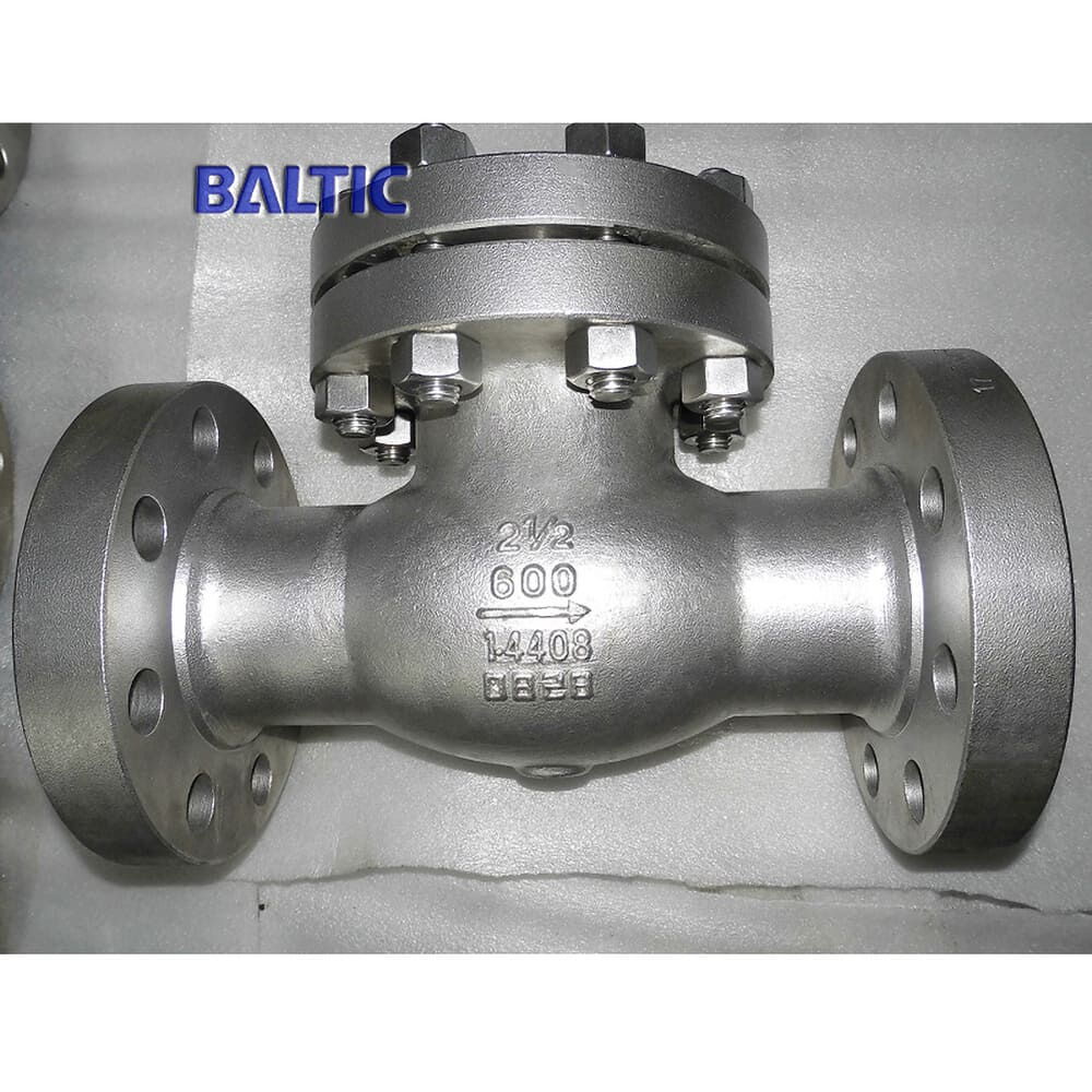 2-1/2 Inch Swing Check Valve, 1.4408, BS 1868, 600 LB, RF