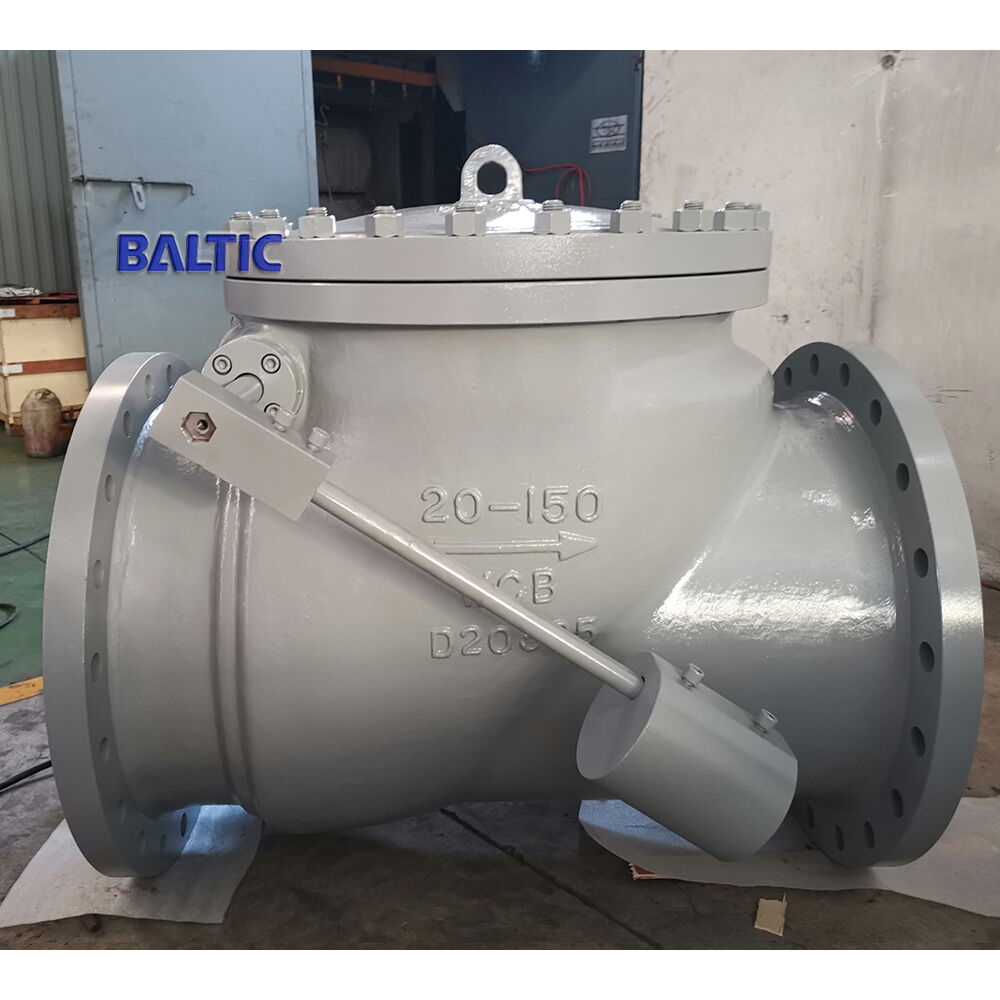 20 Inch Swing Check Valve, ASTM A216 WCB, API 6D, CL 150 LB