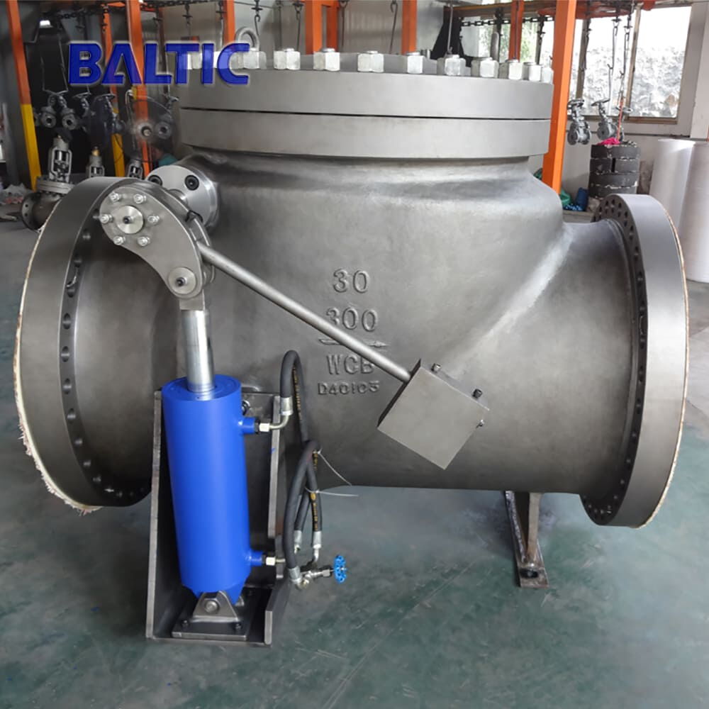 De Oiling And Degrease In Check Valve API 6D Swing Check Valves, WCB, 10 Inch, Class 300 LB, RF - Baltic