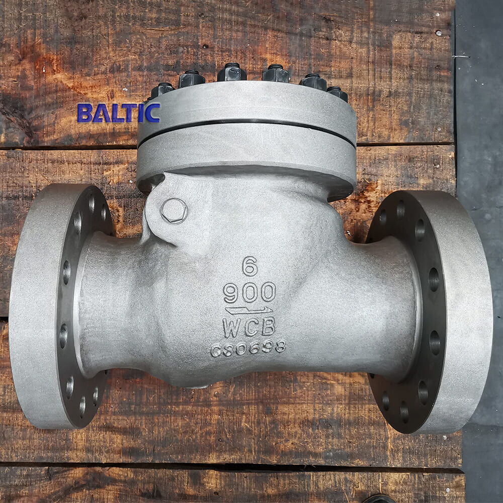 6 Inch Swing Check Valve