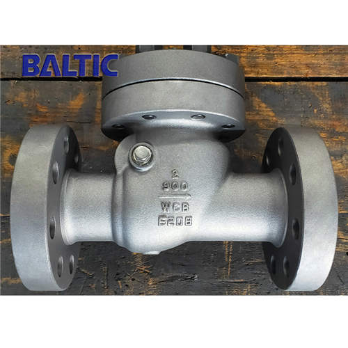 bs 1868 swing check valve bs 1868 swing check valve