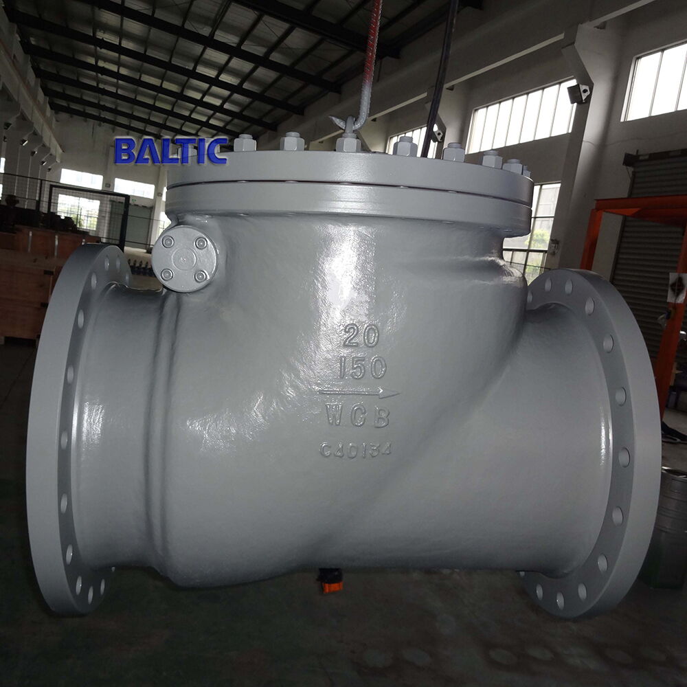 API 6D Check Valve, 20 Inch, Class 150 LB, ASTM A216 WCB, RF