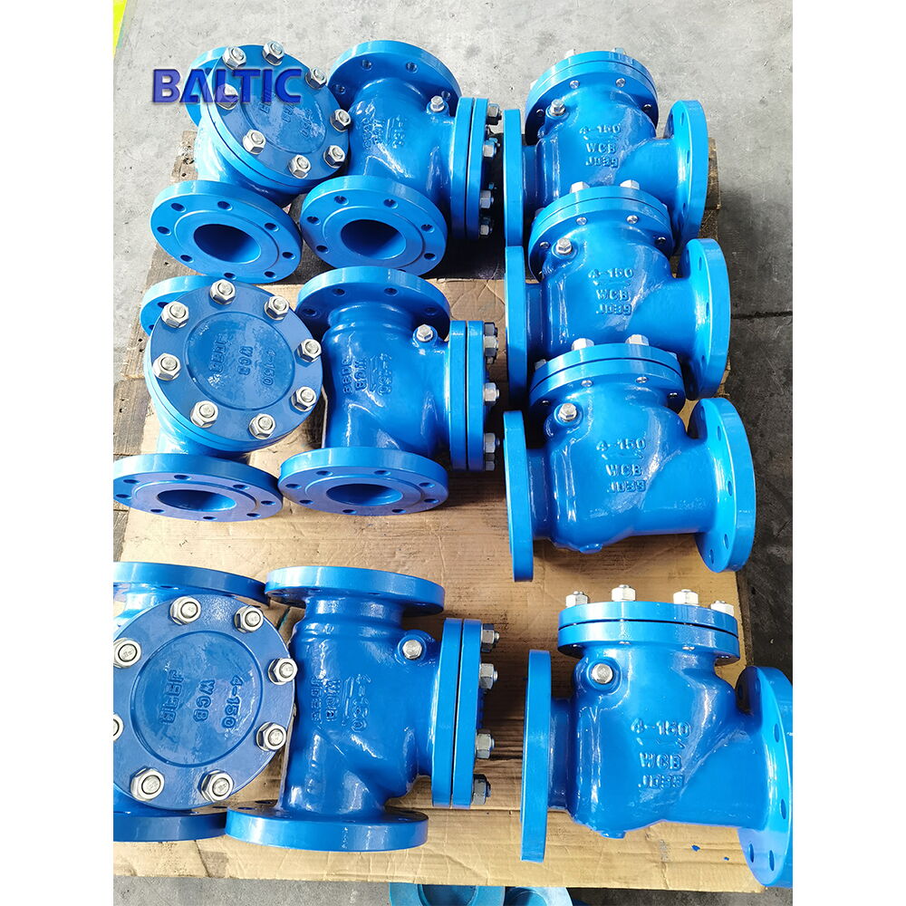 API 6D Swing Check Valve, 4 Inch, 150 LB, ASTM A216 WCB