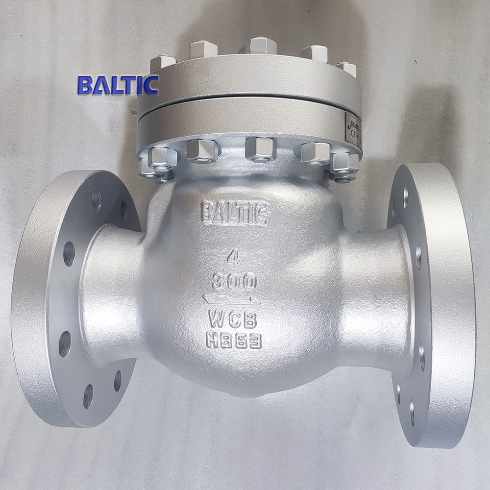 Swing Check Valve