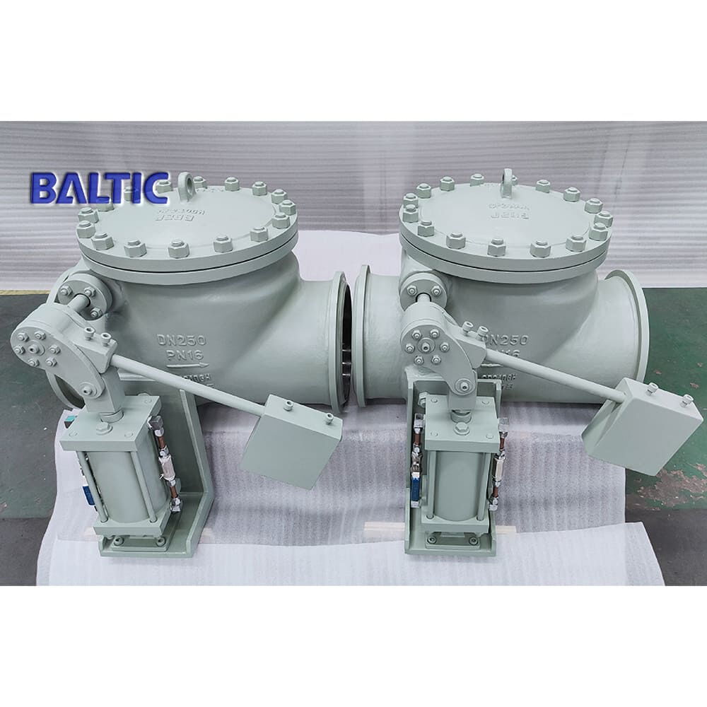API 6D Swing Check Valve, BS EN 10213 GP240GH, DN250, PN16