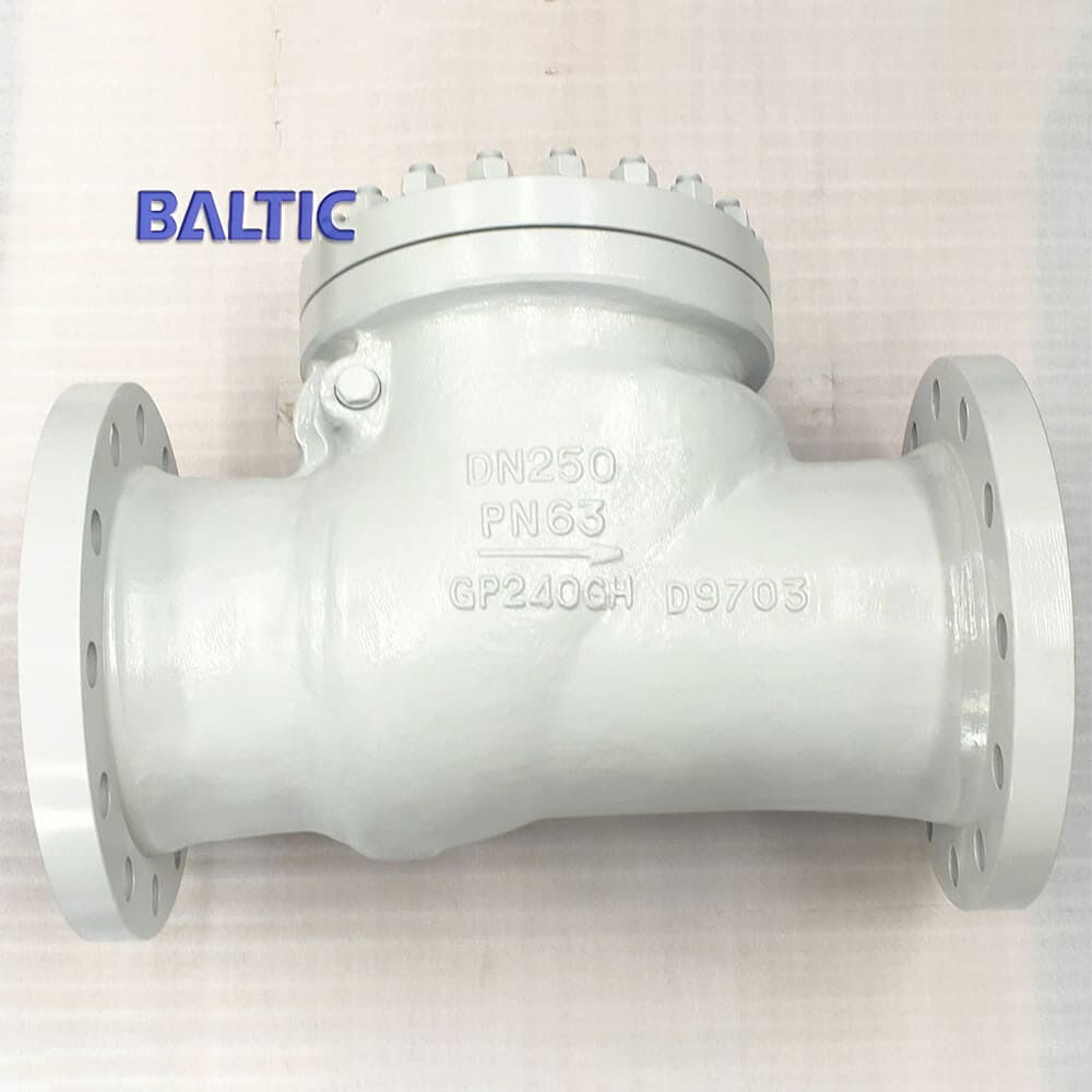 API 6D Swing Check Valve, EN 10213 GP240GH, DN250, PN63, RF