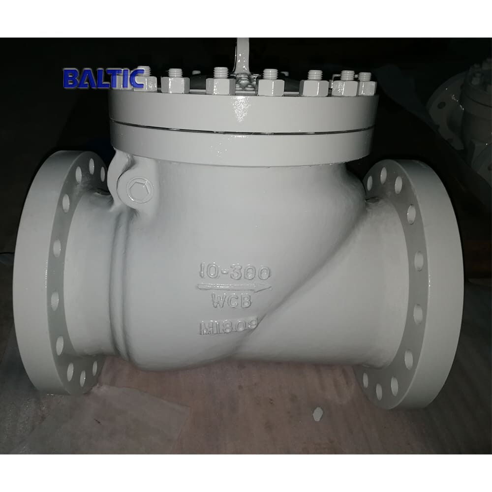 API 6D Swing Check Valves, WCB, 10 Inch, Class 300 LB, RF