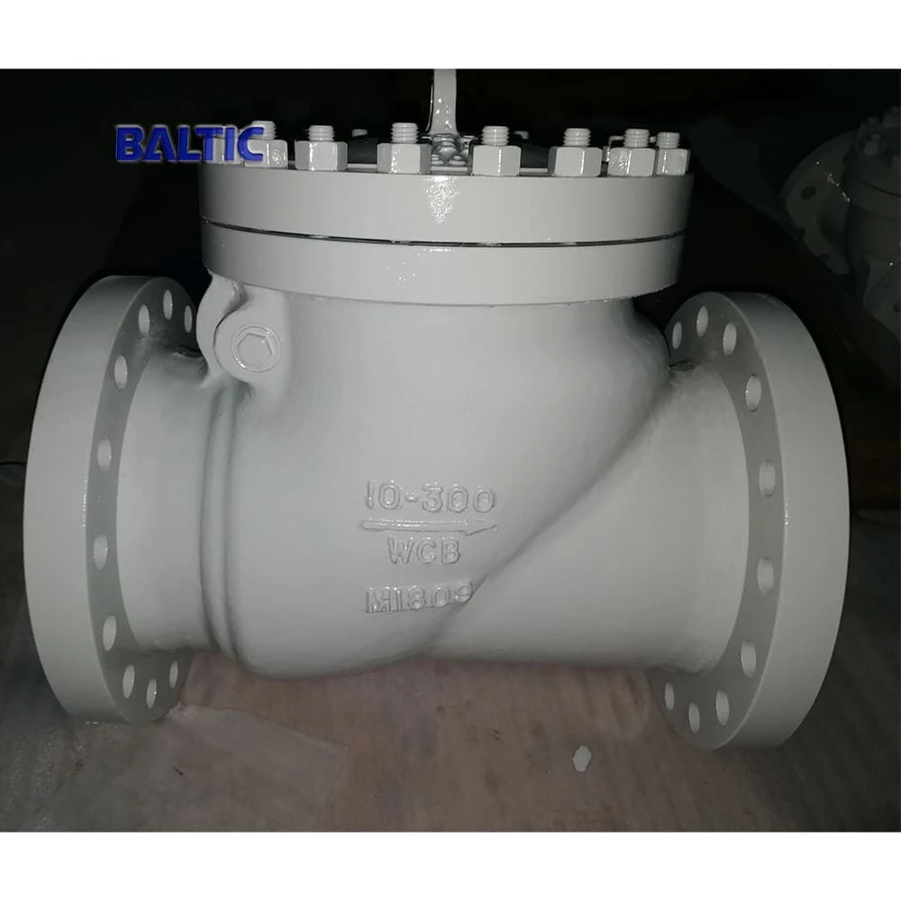 API 6D Swing Check Valves, WCB, 10 Inch, Class 300 LB, RF - China ...